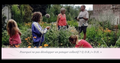 UN BUDGET PARTICIPATIF POUR « NAMUR PLUS BELLE ENSEMBLE » UN BUDGET PARTICIPATIF POUR « NAMUR PLUS BELLE ENSEMBLE »